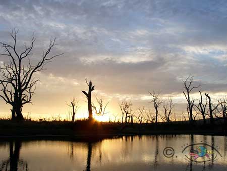 Australie-Galerie_9