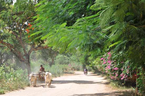 myanmar (40)