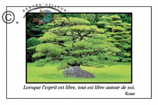 Cartes postales03