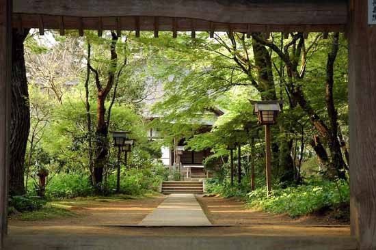 japon (20)