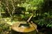 japon (12)