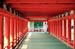 japon (22)