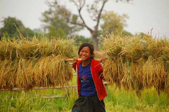 laos (18)