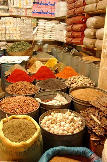 maroc (1)