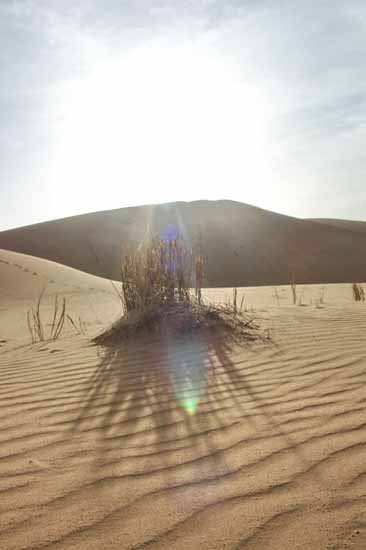 maroc (19)