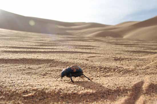 maroc (20)