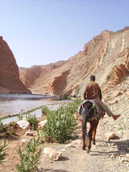 maroc (25)