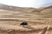 maroc (20)