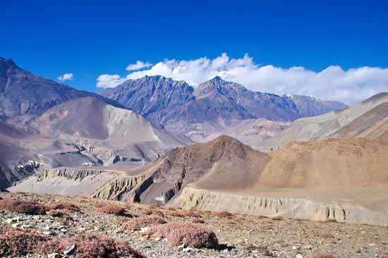 nepal (17)