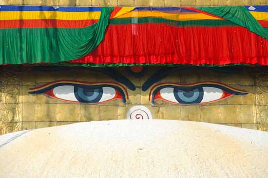 nepal (51)