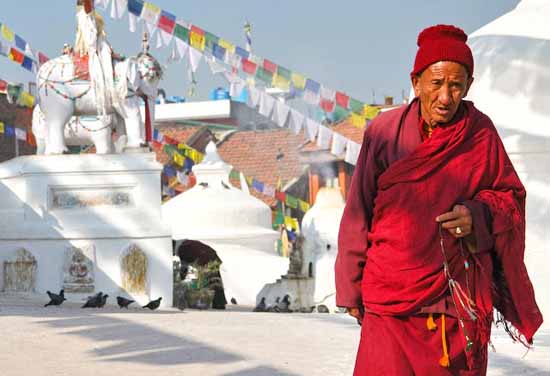 nepal (52)