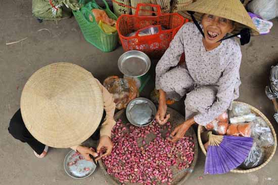 vietnam (10)