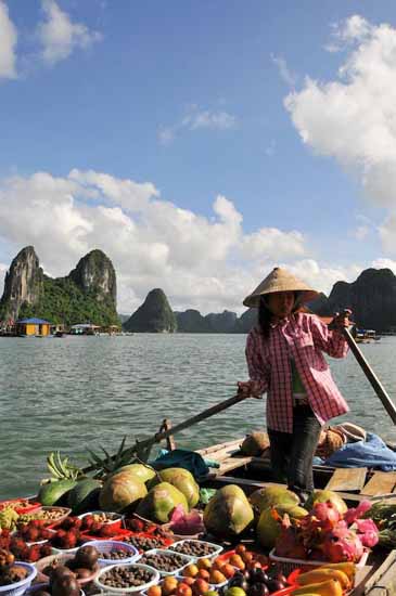 vietnam (15)