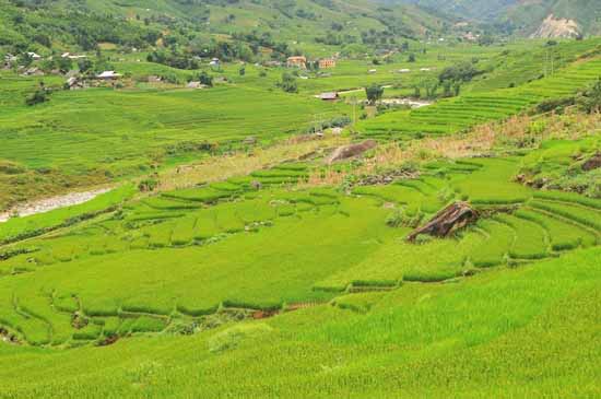 vietnam (43)